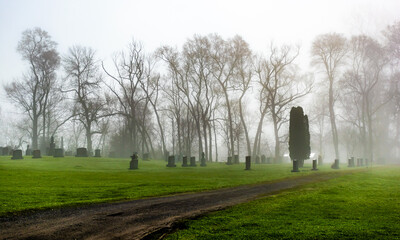 Fototapeta na wymiar a walk in the cemetery in fog 