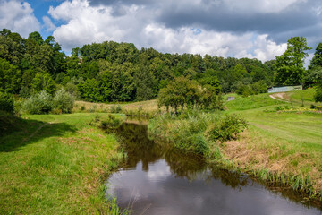 Fototapeta na wymiar countryside forest river in summer with high grass and foliage