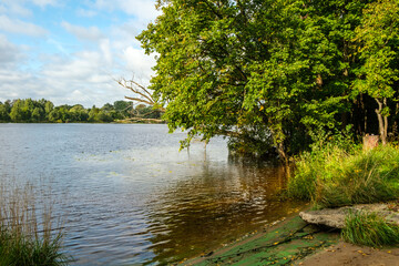 countryside forest river in summer with high grass and foliage