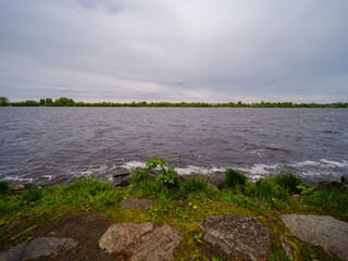 countryside forest river in summer with high grass and foliage