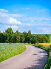 Oilseed rape field with trees against blue sky. Rural, countryside landscape. Panoramic view of colza flowers. Farmland during sunny summer day. Country road through village.