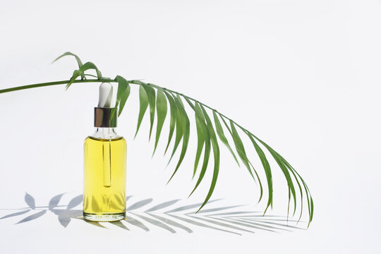 Serum or care oil bottle, palm leaf on white background. Face and body skin care concept, aromatherapy. Essential oil.