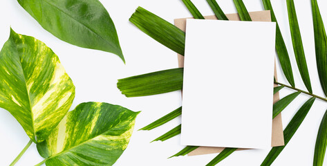 Blank paper on tropical leaves.  Copy space
