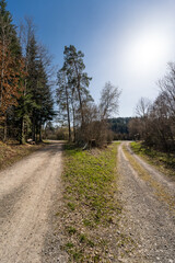Fototapeta na wymiar two roads through black forest