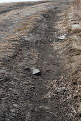 tracks in the ground
