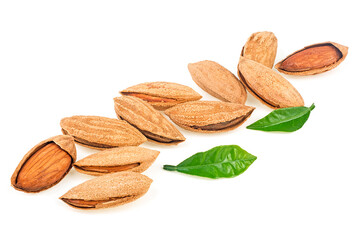 Almond nuts with green leaves isolated on a white background. Almonds in shell.
