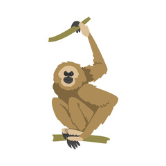 Gibbon Monkey as Arboreal Herbivorous Ape Sitting on Tree Branch Vector Illustration