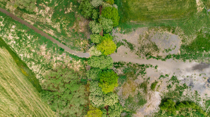 Aerial fresh spring landscape. Stunning view of green trees, meadow and stream in south Bohemia, Czechia.Top view of beautiful nature, Drone photography from above.Artistic wallpaper. Beauty of Earth.