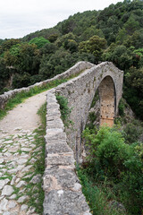 Beautiful view of an arch of the ancient bridge surrounded by trees on a gloomy day