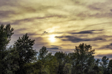A beautiful sunrise over the forest in the early morning.
