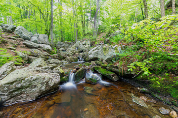 Statte river in the Belgium Ardennes is a small river full of cascades, like the Cascade de Nutons...