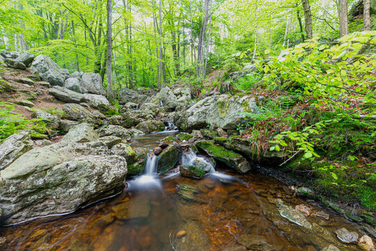 Statte river in the Belgium Ardennes is a small river full of cascades, like the Cascade de Nutons in the Liege Province. A perfect area of activities