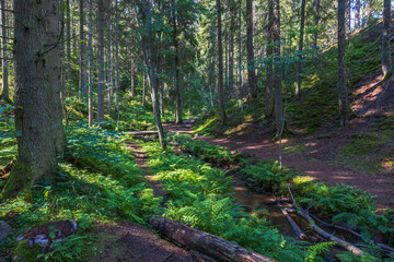 Beautiful view of stream on rocky landscape. Beautiful nature landscape backgrounds. Sweden.