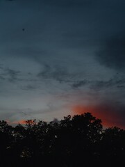 Colorful sunset sky above the forest