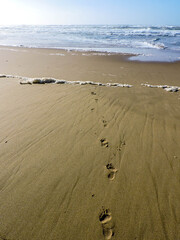 footprints on the beach in the sand