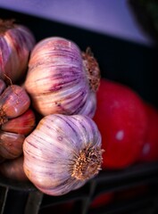 Red Garlic 