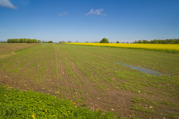 photo of beautiful fields in spring