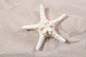 Fototapeta na wymiar white starfish on the sand close-up top view. Starfish on the beach. Beach summer background with sand, sea and copyspace