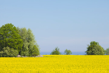 photo of beautiful fields in spring