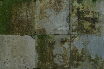 old ceramic tiles glued to the wall covered with green mold and cracks