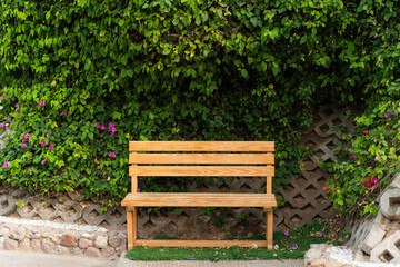 Brown, wooden bench on a background of green bush. A bench where you can sit down to rest.