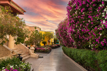 Beautiful area of the hotel with flowering shrubs and interesting architecture. Walk along the beautiful flowering street