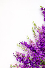 Floral arrangement of wildflowers with place for text. Floral background. Spring mood. Copy space