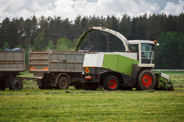 The harvester removes the grass from the field, loads the silo into the tractor