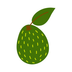 Avocado icon. Flat illustration of avocado vector icon isolated on white background