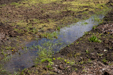 Water in the ditches of the garden as a result of long torrential rains.