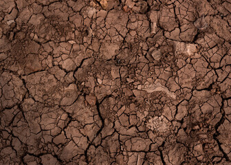 Dry mud background.