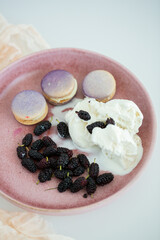 Mulberry Ice Cream and Macarons