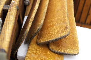 Classic rowboat oars sitting in a rowboat in the rain