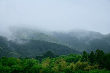 雨上がりの山