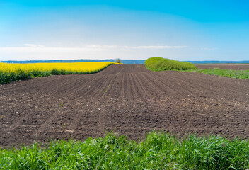 landscape with a field and sky