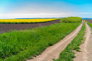 landscape in the country