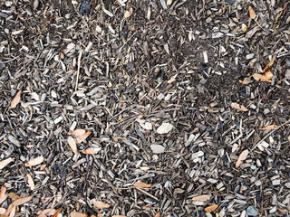 Dirty ground with bark mulch and maple seeds