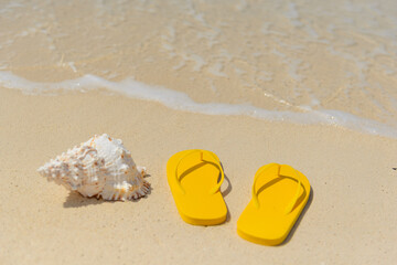 Flips flops and seashell by the seashore