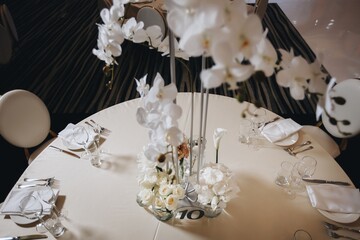 tableware Glasses, flower fork, knife served for dinner in restaurant with cozy interior