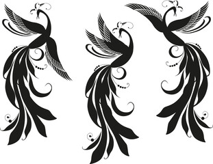 Vector drawing of silhouettes flying fantasy birds