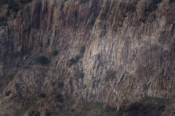 Bulgarian rockies. Rocky wall in Rhodope mountains. Vultures nesting on the rock.