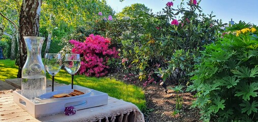 Lampka wina w wiosennym ogrodzie pełnym kwitnących azali - obrazy, fototapety, plakaty
