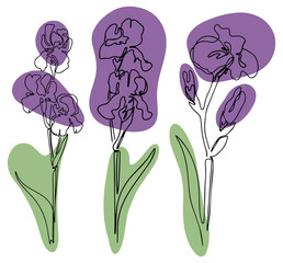 hand drawn Line art monoline flowers . Vector illustration