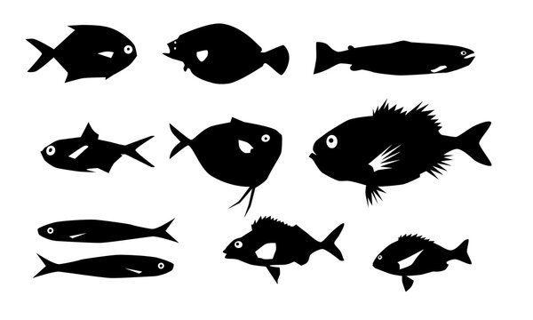 Vector images of fish in black and white colors