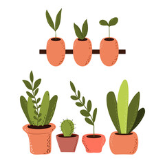 Fototapeta na wymiar Set of plants in different pots on isolated background. Vector illustration