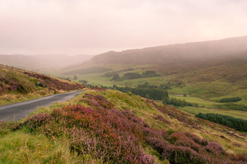 Scottish landscape on road A822 between the small village of Kenmore and the small hamlet Amulree in the Scottish Highlands. Cloudy day, soft focus.