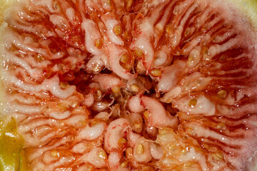 closeup of a sliced fig