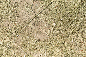texture of hay or dried grasses on a cement pavement