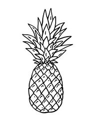 Ripe pineapple isolated on white background. Vector hand-drawn illustration in doodle style. Perfect for your project, card, logo, decorations.