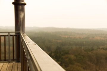 firewatch view of the forest